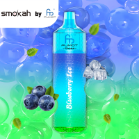 Smokah Fumot T9000 - Blueberry Ice