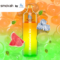 Smokah Fumot T9000 - Watermelon Ice
