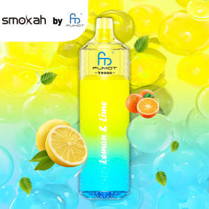 Smokah Fumot T9000 - Lemon &amp; Lime