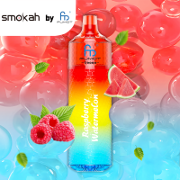 Smokah Fumot T9000 - Raspberry Watermelon