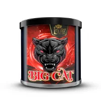 Start Now Gold Big Cat 200g